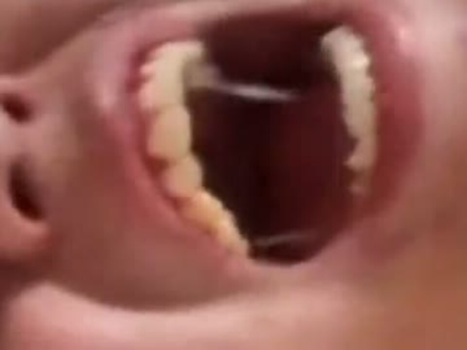 スーパーカクニランド「カクニゾーン」